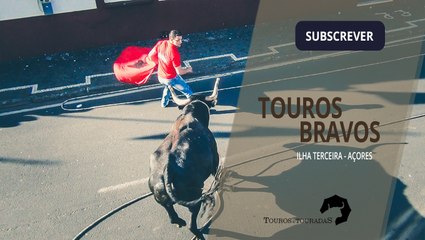 TOUROS BRAVOS | Ganadaria Eliseu Gomes