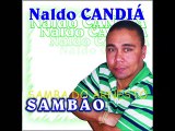 NALDO CANDIÁ : Samba  do Arnesto