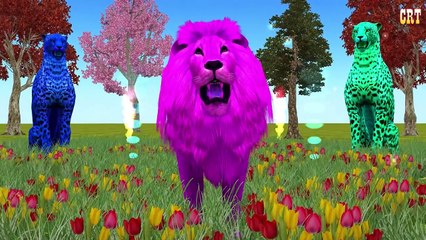 Duck Nursery Rhymes || Children Rhymes Lyrics For Music Rhymes For Kids