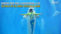 Las talentosas ballenas que deslumbran en parque acuático de China
