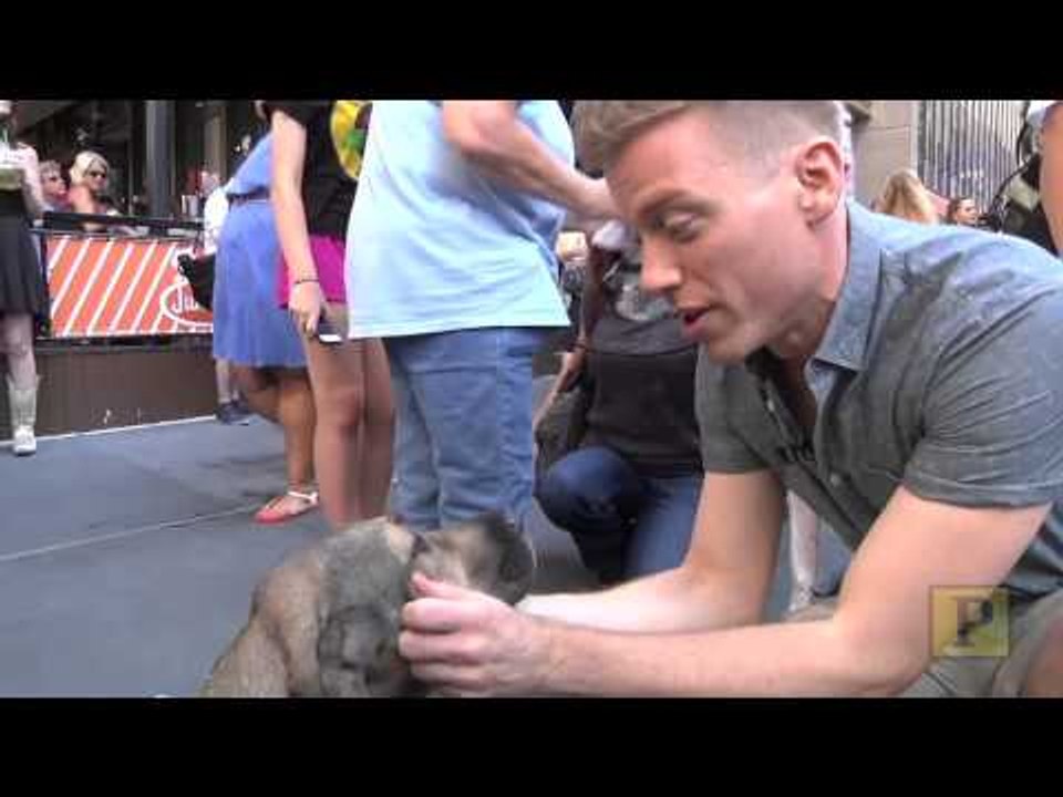 Barrett Foa Fawns Over Adorable Pooches at Broadway Barks 16