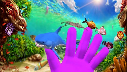 Animals Finger Family Songs | Dinosaurs Names For Children | Animals Sounds & Names For Kids