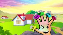Honey Bee Finger Family | Finger Family Cartoon Animation Nursery Rhymes For Children