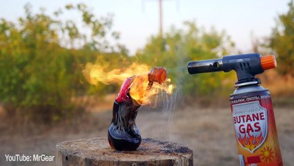 EGG VS GAS TORCH