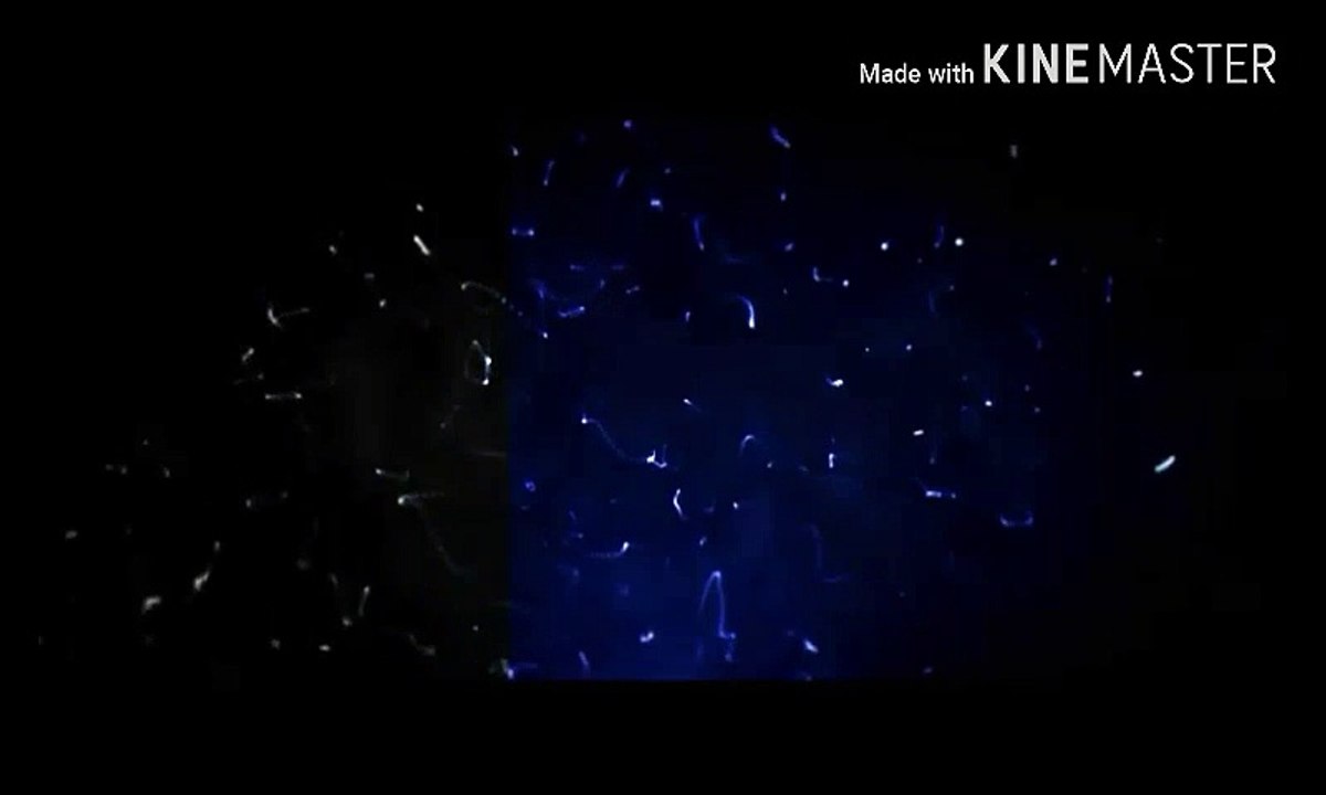 Intro Do Canal