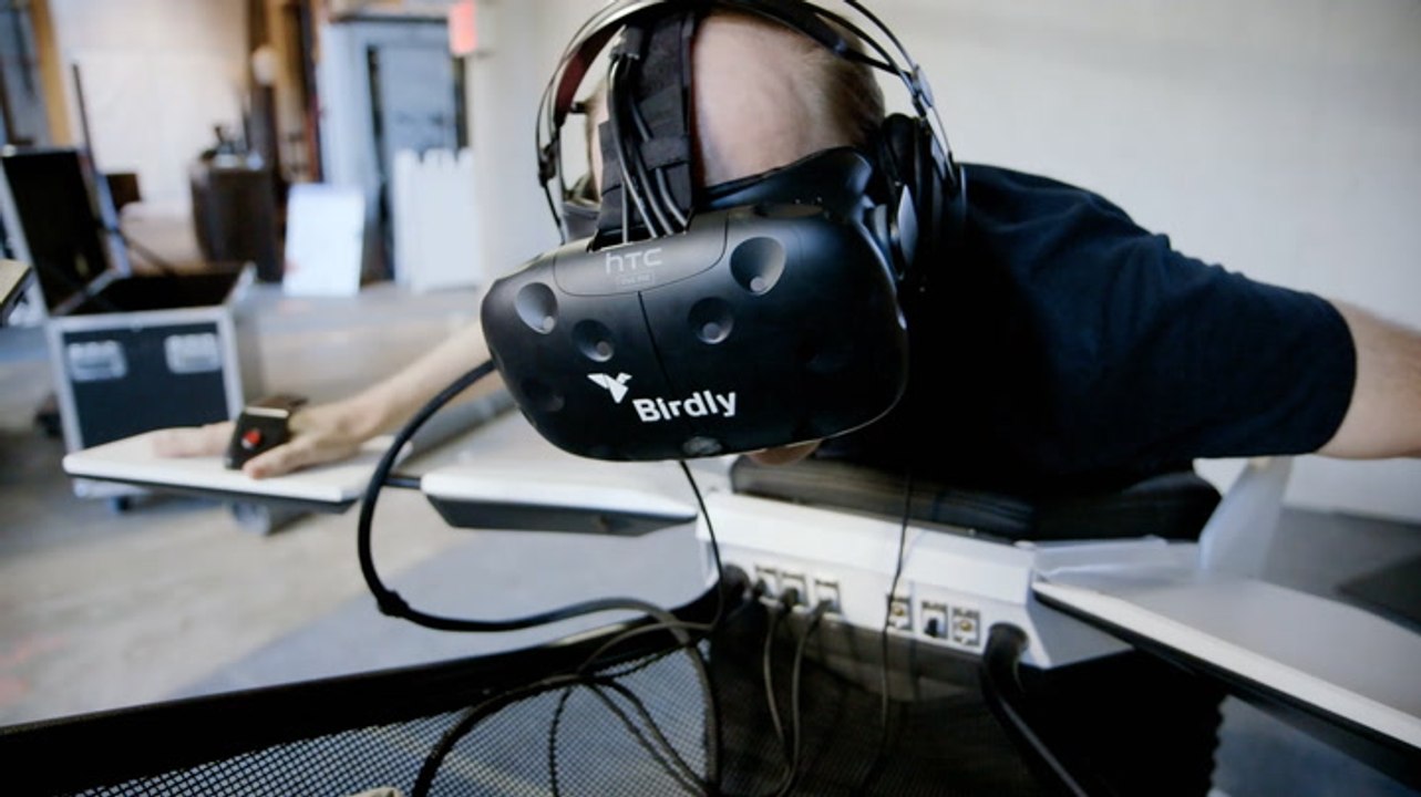 Take Flight with This Full Body VR Experience