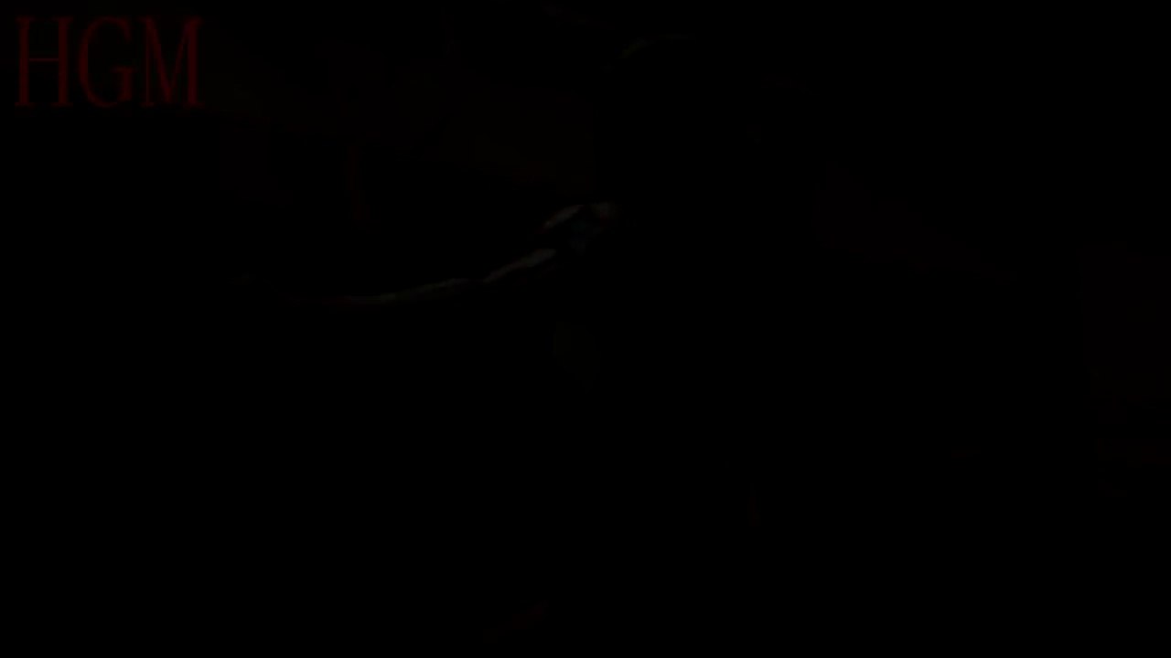 AWESOME BODY TRAINING by LADIES - Girls In Gym - HARD WOMAN WORKOUT - Female Fitness Motiv