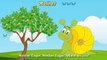 Turbo Snail Finger Family | Cartoon Animation Nursery Rhymes | Children Sing along Rhymes