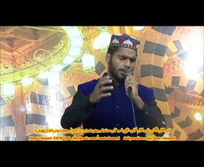 NaatChannel Naats 348 hafiz raihan qadri  kidں نعتیں سنیں، نعت چینل نعتیں۔،ماواں ٹھنڈی چھاواں
