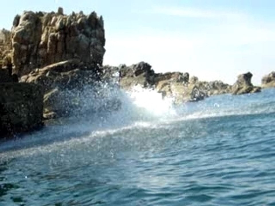 Plongeon yoann