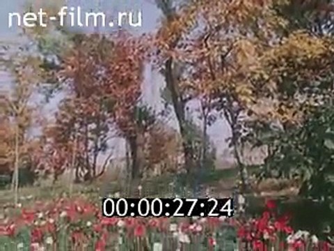 Мир, единство, сътрудничество (1985)