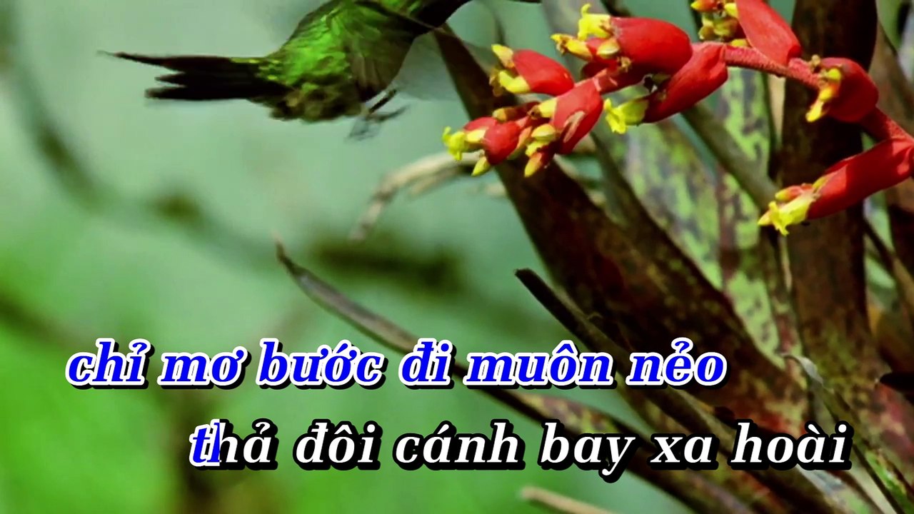 Nước Ngoài | Phan Mạnh Quỳnh | Karaoke Beat HD
