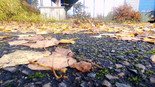 NG SERVICES Installateur Conseil Expert VELUX Sarthe LE MANS 72 Sarthe