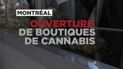 Montréal : ouverture de boutiques de cannabis avant la légalisation