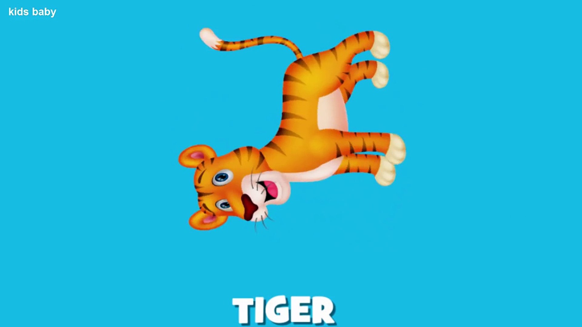 ⁣Compilation Animals Names & Sounds for Children - Learn Wild Animals,Farm Animals And Sea Animal