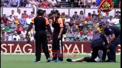 Fan enters ground, stops play, 1st test 2016