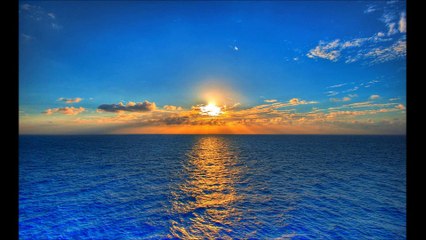 Techno Revivers Project - Spring & Summer