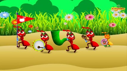 Incy Wincy Spider and other Popular #NurseryRhymes Collection I Kidipedes Children Songs