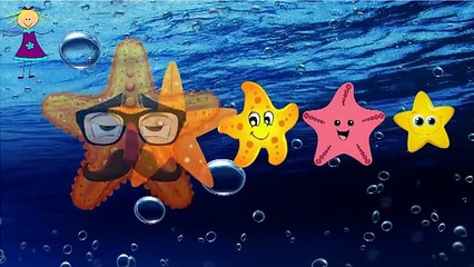 STAR FISH Finger Family Nursery Rhyme | Finger Family Children Nursery Rhymes
