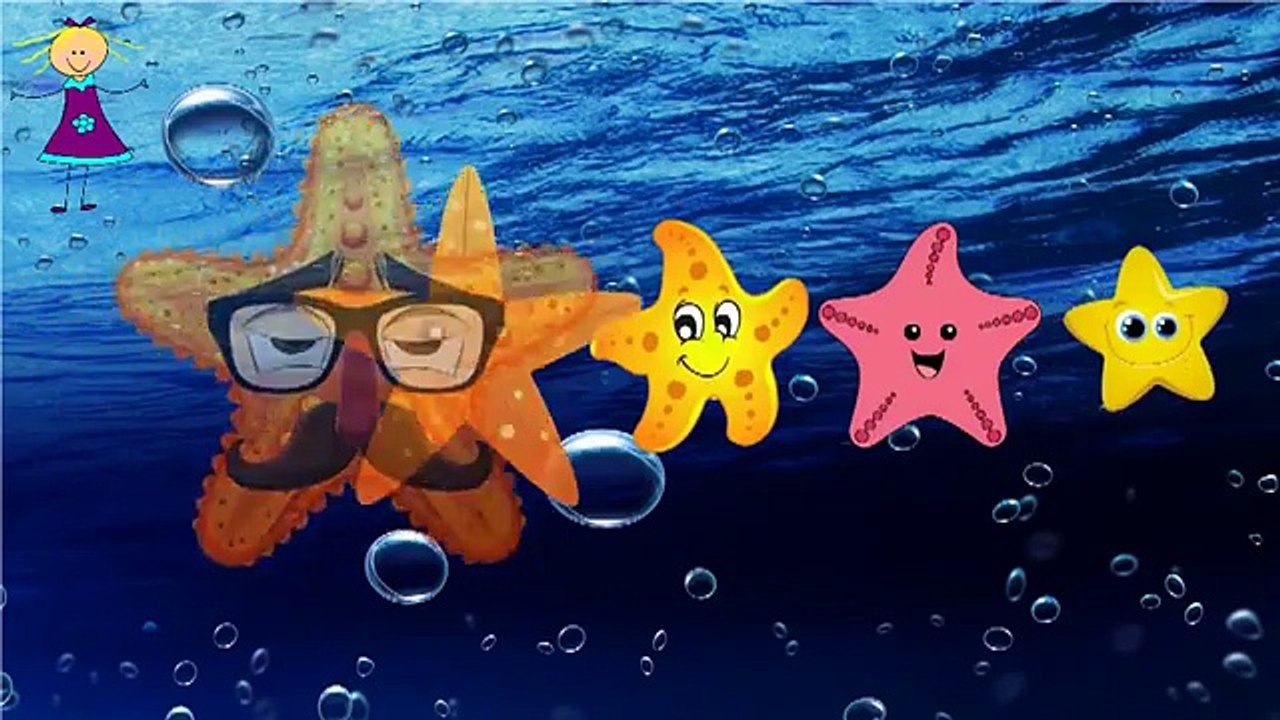 STAR FISH Finger Family Nursery Rhyme | Finger Family Children Nursery Rhymes