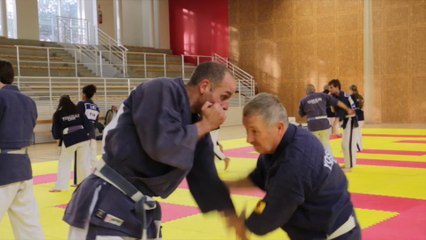 L'âme du Yoseikan Budo