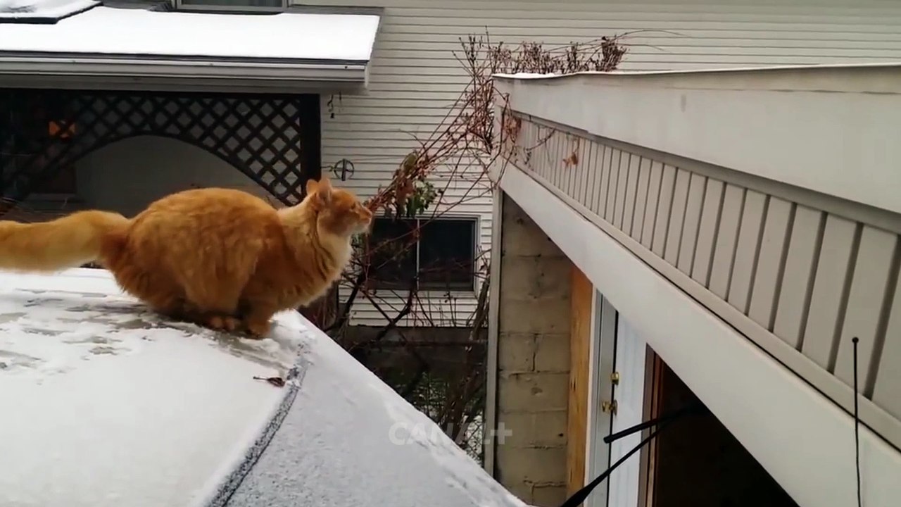 Rendez-vous avec Kevin Razy - A partir du lundi 20 Février