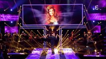 medley-veronic-dicaire-le-grand-show-celine-dion