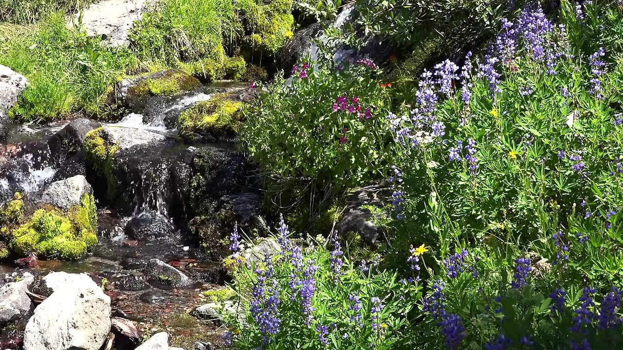 06. Oregon Cascades, USA