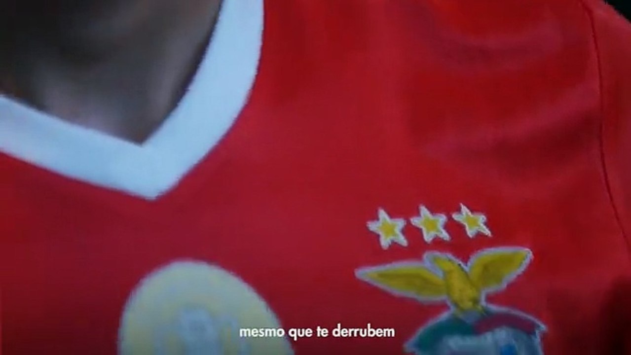 Tu és quem queres ser  _ Salvio