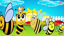 BEE Finger Family Nursery clhildren rhymes | Finger family songs kids rhymes