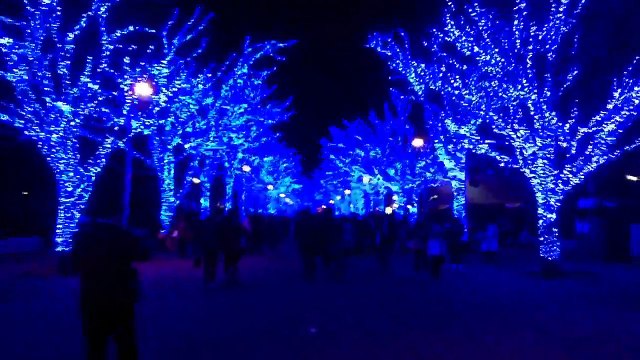 JANG KEUN SUK & BİG BROTHER TEAM H PARTY 2016 MONOLOGUE [PREVIEW] DAY 2 TOKYO YOYOGI JAPAN 16.12.2016