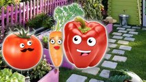 Vegetables Lollipop Finger Family / Nursery Rhymes and More Lyrics