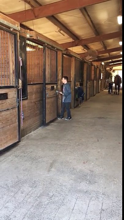 Un enfant se bat avec un cheval pour le faire sortir de son box !