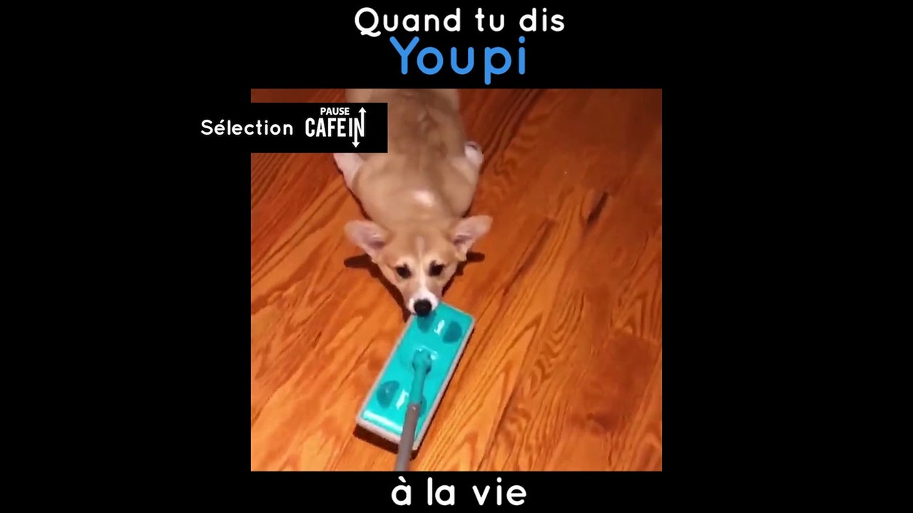 "Moi dans la vie pour m'éclater j'ai juste besoin d'un balai !"