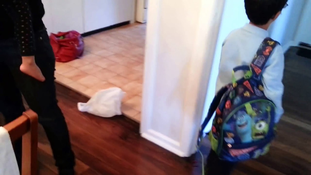 Boy surprised to see Labrador puppy