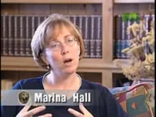 Breed All About It - Golden Retriever