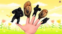 Finger Family || LARGE GROUP OF LIONS V/S GORILLAS GROUP version || Funny Finger Family song