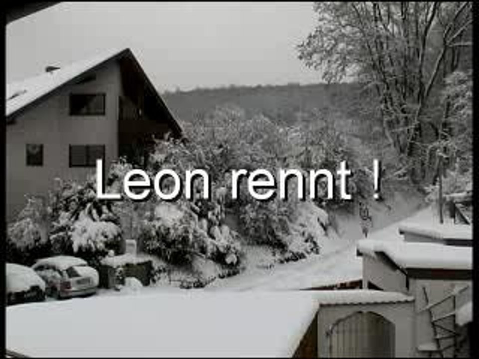 leon im schnee