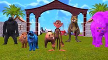 Colors Animals Dinosaurs Gorilla Pink Elephant Blue Tiger | Funny Animals Car Racing Videos For Kids