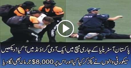 Fan enters ground, stops play, 1st test 2016