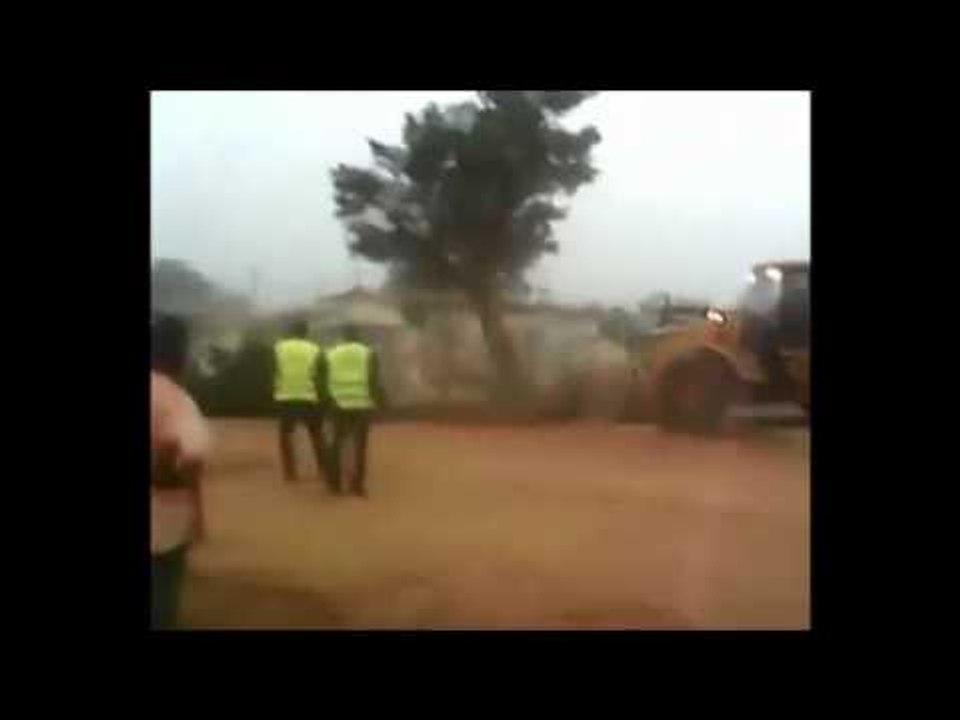 Un arbre jugé être le nid de sorciers tente d’être déraciné regardez ce qui va se passer