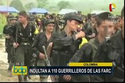 Colombia: indultan a 110 guerrilleros de las FARC