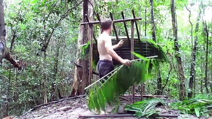 Primitive Technology- Wood shed and Native bee honey
