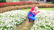 Spiderman Frozen Elsa Anna Prank in Pool vs Joker Harley Quinn Superman Hulk Superhero in real life - YouTube