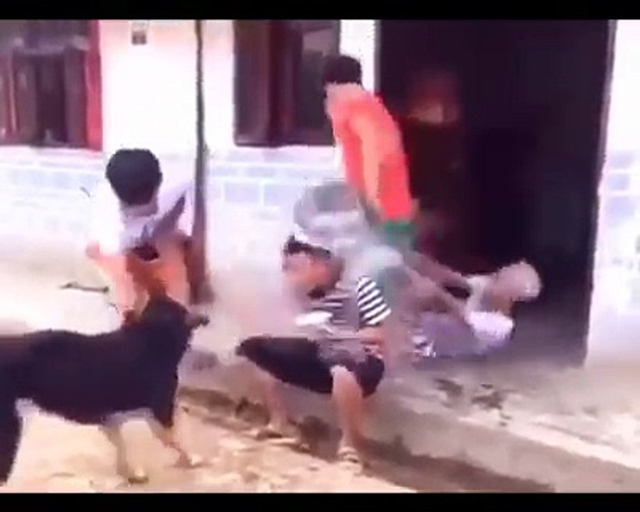 Watch Video and laugh