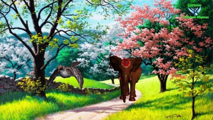 Sparrow Irritatting Baby Elephant Funny Sound Video For Cartoon Children