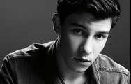 Shawn Mendes - Treat You Better (Remix)