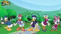 Donald Duck Finger Family Nursery Rhymes | Cute Duck Finger Family Songs For Kids