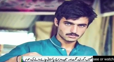 chaye wala arshed khan must watch ...