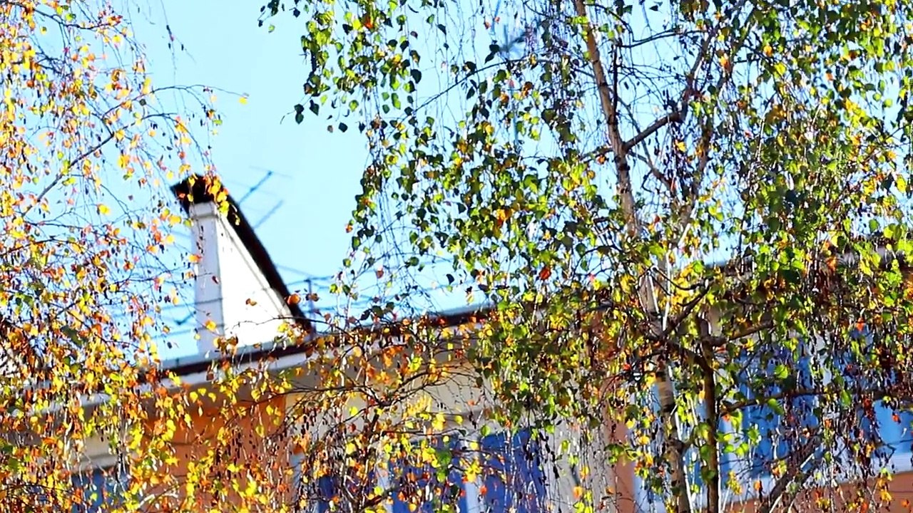 Сочи - русские субтропики осенью.